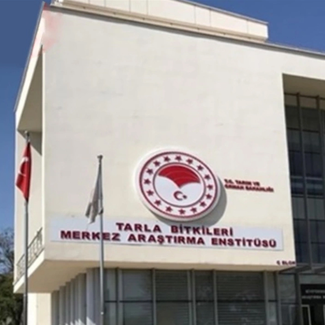 Tarla Bitkileri Çevre Aydınlatma, Trafo Merkezi Yapım ve Data Altyapı İşleri